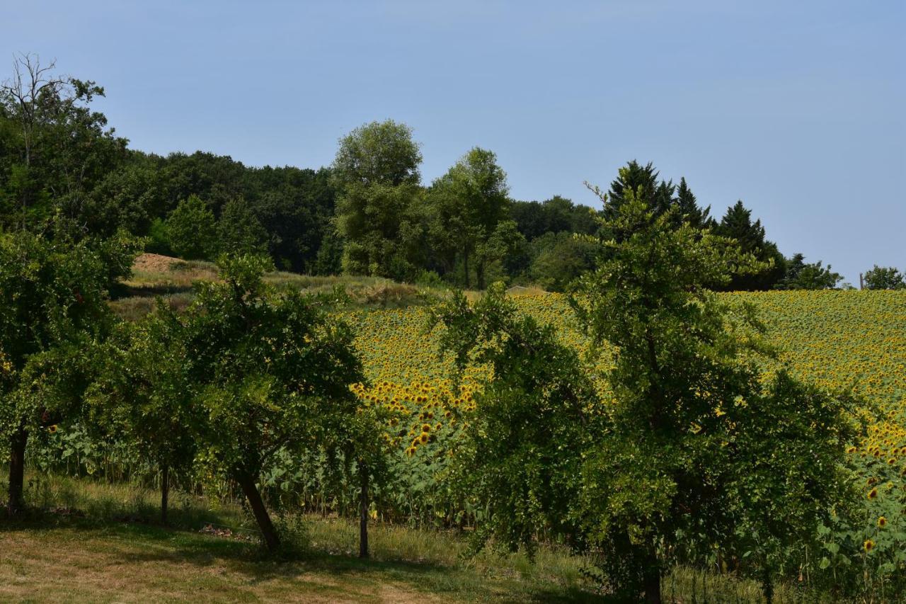 Bed and Breakfast Domaine De Calbiac Dolmayrac Zewnętrze zdjęcie