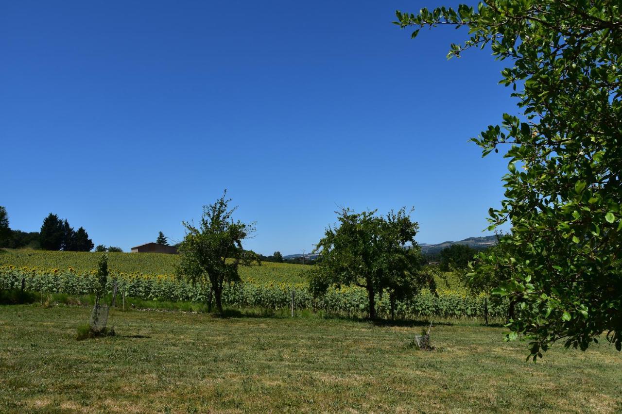 Bed and Breakfast Domaine De Calbiac Dolmayrac Zewnętrze zdjęcie